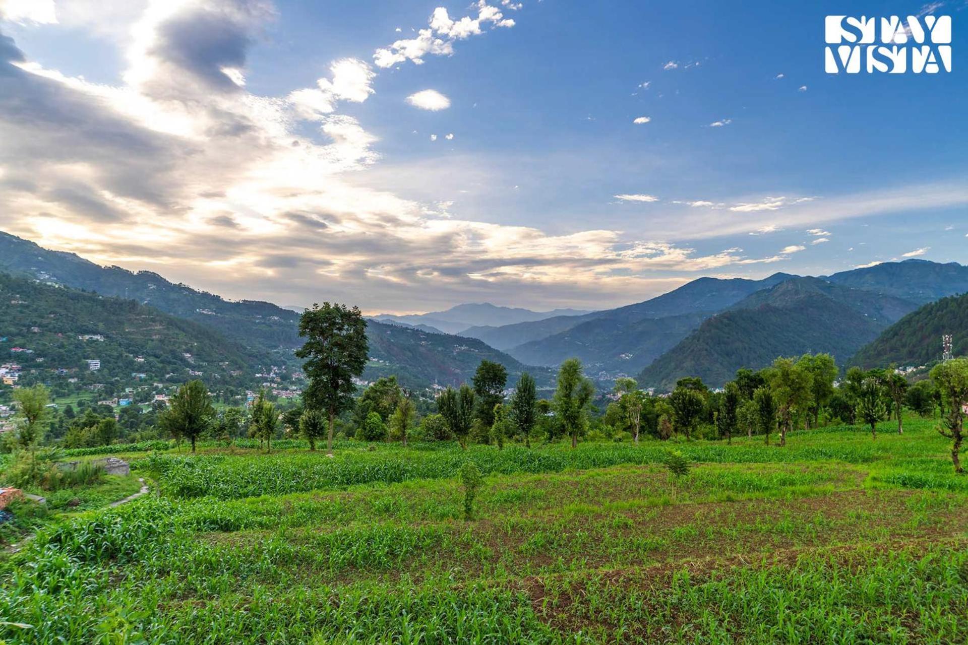 Stayvista At The Oakridge 4 Bhk Villa In Dharamshala With Jacuzzi & Balcony Chamba  Εξωτερικό φωτογραφία